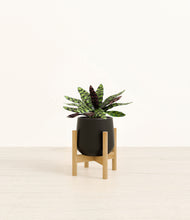 Load image into Gallery viewer, Black stand:bamboo