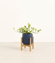 Load image into Gallery viewer, Deep Navy stand:bamboo