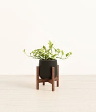 Load image into Gallery viewer, Black stand:walnut
