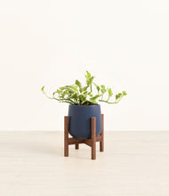 Load image into Gallery viewer, Deep Navy stand:walnut
