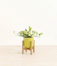 Load image into Gallery viewer, Key Lime Yellow stand:bamboo