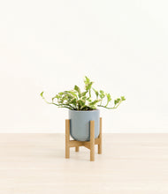 Load image into Gallery viewer, Misty Blue stand:bamboo