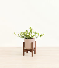 Load image into Gallery viewer, Sandy Pink stand:walnut