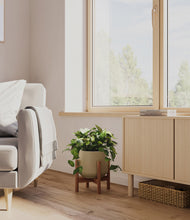 Load image into Gallery viewer, Olive stand:walnut