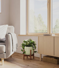 Load image into Gallery viewer, Turquoise stand:walnut