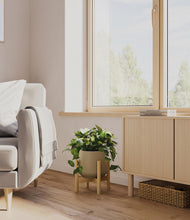 Load image into Gallery viewer, Olive stand:bamboo