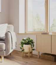 Load image into Gallery viewer, Almond Green stand:bamboo