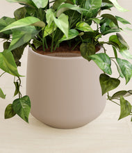 Load image into Gallery viewer, Eternal Gray stand:all