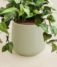 Load image into Gallery viewer, Turquoise stand:all