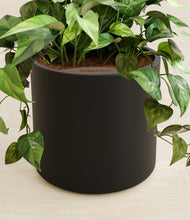 Load image into Gallery viewer, Black stand:all