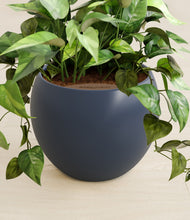 Load image into Gallery viewer, Deep Navy stand:all