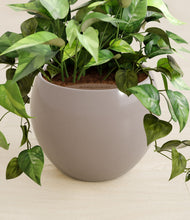 Load image into Gallery viewer, Winter Clouds stand:all