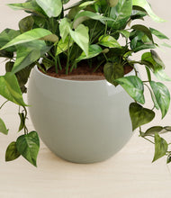 Load image into Gallery viewer, Deep Ocean stand:all