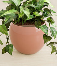 Load image into Gallery viewer, Calm Rose stand:all