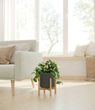 Load image into Gallery viewer, Dark Olive stand:bamboo