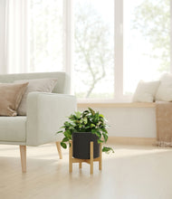 Load image into Gallery viewer, Black stand:bamboo