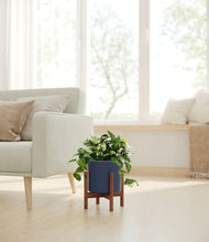 Load image into Gallery viewer, Deep Navy stand:walnut