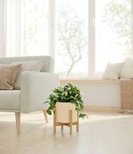 Load image into Gallery viewer, Cream stand:bamboo