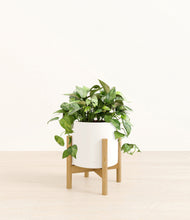 Load image into Gallery viewer, White stand:bamboo