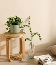 Load image into Gallery viewer, Turquoise