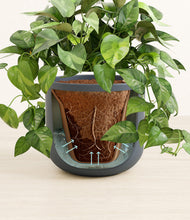 Load image into Gallery viewer, Iron Gray