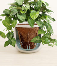 Load image into Gallery viewer, Natural Bamboo