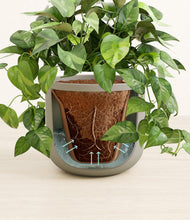 Load image into Gallery viewer, Sage Green