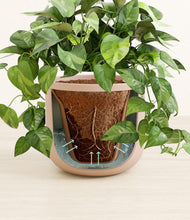 Load image into Gallery viewer, Sandy Pink