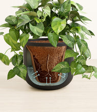 Load image into Gallery viewer, Stone Black