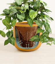 Load image into Gallery viewer, Sunset Orange