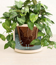 Load image into Gallery viewer, Cream stand:all