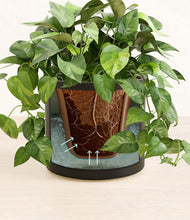 Load image into Gallery viewer, Black stand:all