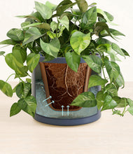 Load image into Gallery viewer, Deep Navy stand:all