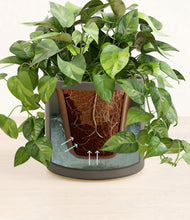 Load image into Gallery viewer, Dark Olive stand:all