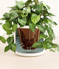 Load image into Gallery viewer, White stand:all