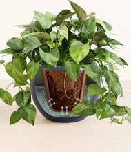 Load image into Gallery viewer, Deep Navy stand:all