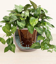 Load image into Gallery viewer, Winter Clouds stand:all