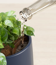 Load image into Gallery viewer, Deep Navy stand:all