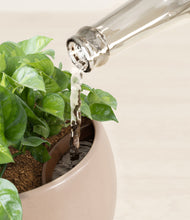 Load image into Gallery viewer, Desert Brown stand:all