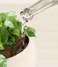 Load image into Gallery viewer, Shiny EggWhite stand:all