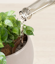 Load image into Gallery viewer, Winter Clouds stand:all