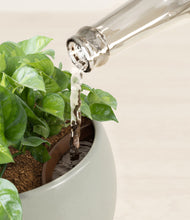 Load image into Gallery viewer, Deep Ocean stand:all