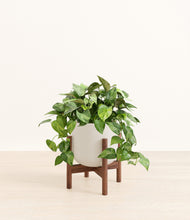 Load image into Gallery viewer, Natural Bamboo stand:walnut