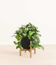 Load image into Gallery viewer, Stone Black stand:bamboo