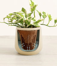 Load image into Gallery viewer, Almond Green stand:all