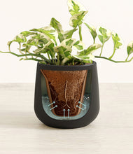 Load image into Gallery viewer, Black stand:all