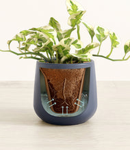 Load image into Gallery viewer, Deep Navy stand:all