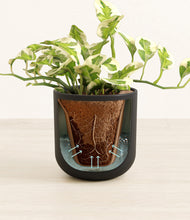 Load image into Gallery viewer, Stone Black stand:all