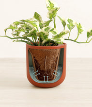 Load image into Gallery viewer, Earth Red stand:all