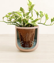 Load image into Gallery viewer, Sandy Pink stand:all